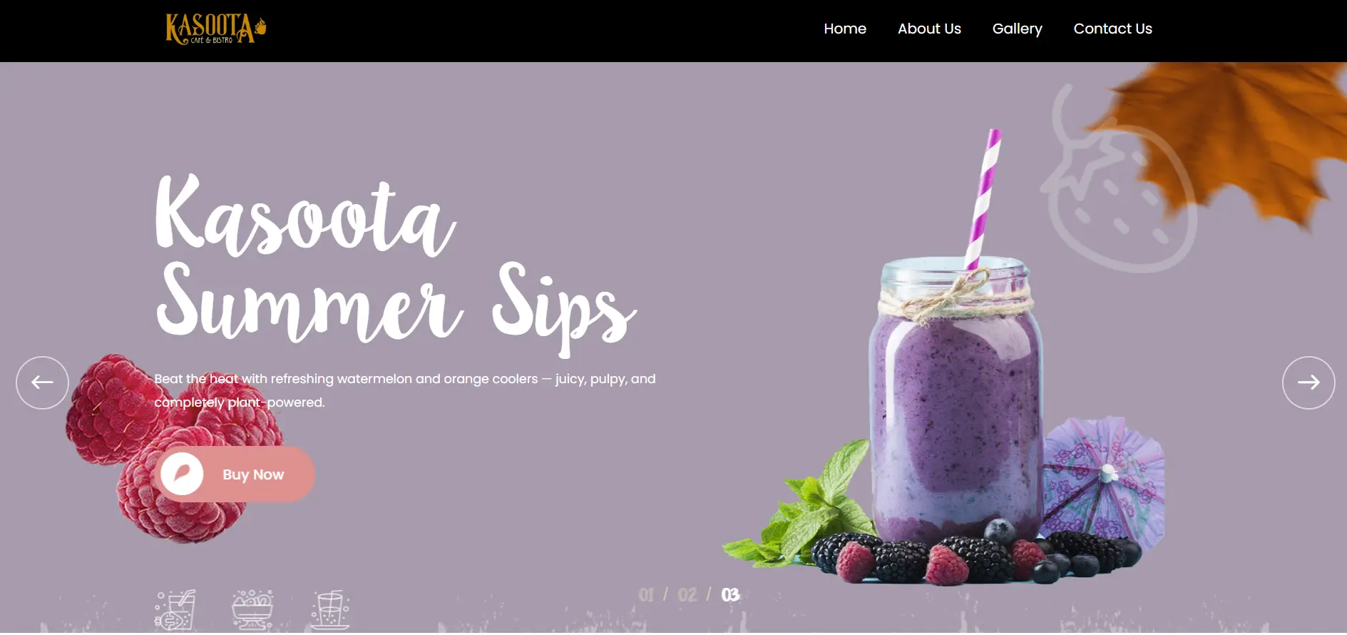 Kasoota Pure Veg preview